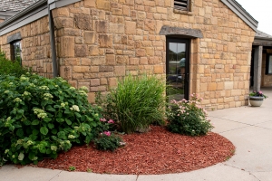 Landscape with beautiful mulch.