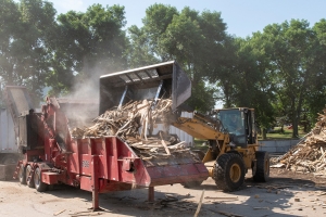 Pay loader dumping wood in grinder.